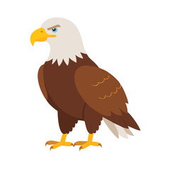 eagle