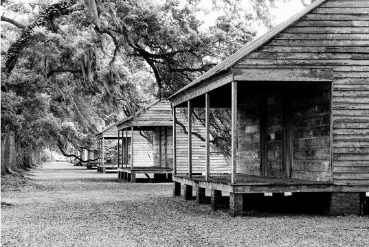 Weathered Old Wooden Houses Farm Black and White Perspective