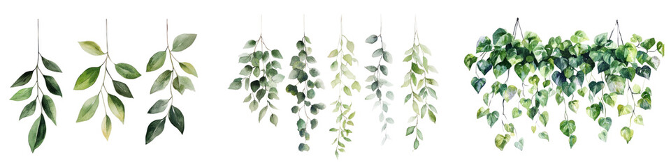 Watercolor hanging green plant png cut out element set, transparent background