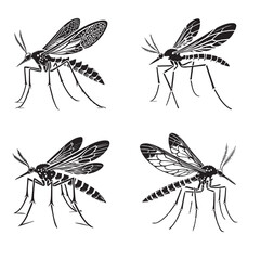 Detailed Silhouettes of Four Spotted Crane Flies Capturing Intricate Patterns in Monochrome