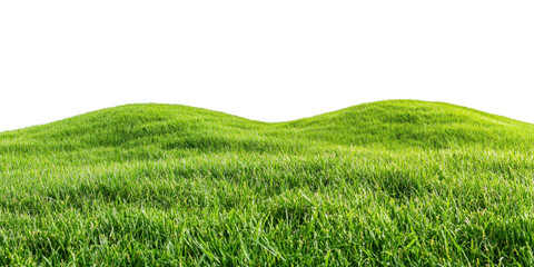 Obraz premium Tranquil Grassy Meadow with Rolling Hills