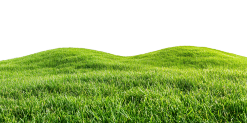 Tranquil Grassy Meadow with Rolling Hills