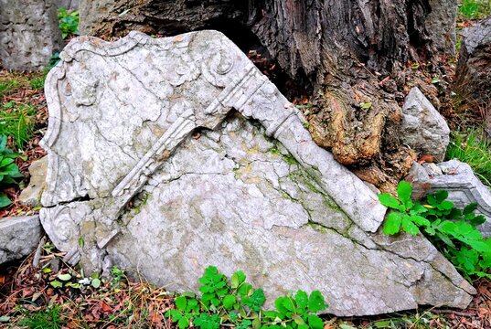 Fallen Headstone Cracked Nature Tree Leaves
