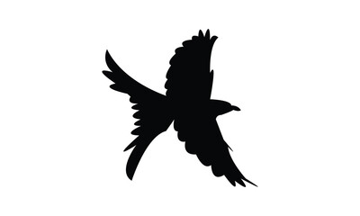 Flying Scissor Tailed Flycatcher  Bird Silhouette Design  And Vector Illustration. 