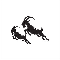 black and white goat