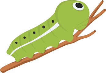 illustration caterpillar