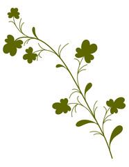 Obraz premium Green leaves