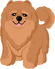 illustration chow chow dog