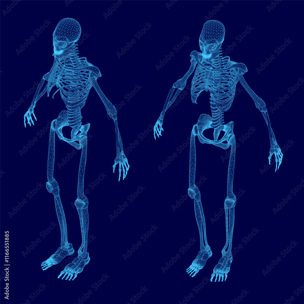 Poster two skeletons are displayed in a blue background, one of which is missing its head. the skeletons ar