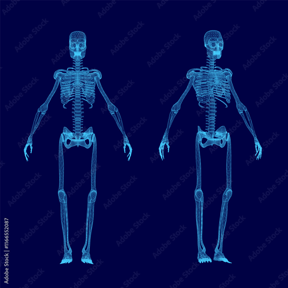 Poster two skeletons are shown in blue, one of which is missing a head. the skeletons are standing in a blu