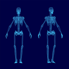 Two skeletons are shown in blue, one of which is missing a head. The skeletons are standing in a blue background, and they appear to be in a digital or computer-generated image