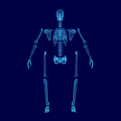 Blue skeleton is shown in a blue background. The skeleton is in a pose that looks like it is about to fall. Scene is eerie and unsettling