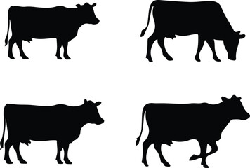 cow silhouettes of isolated on white background. Vector illustration.