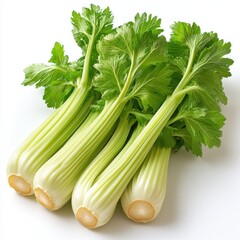 celery, hd, isolated on white background.