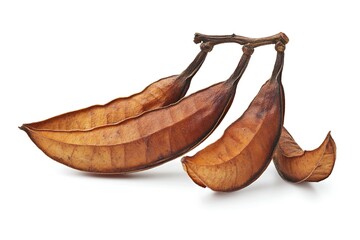Carob pods on branch isolated on white background