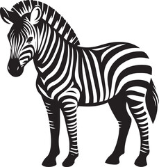 Zebra vector illustration black and white