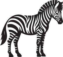 Zebra vector illustration black and white