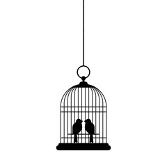 Bird in cage isolated on white background