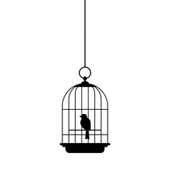 Bird in cage isolated on white background