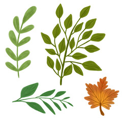 Hand drawn set of leaves illustration. Leaves illustration for design, element, etc.