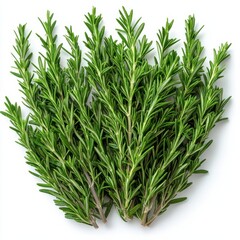 rosemary, hd, isolated on white background.