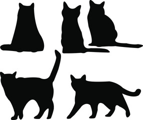 Cat set silhouette in various pose white background