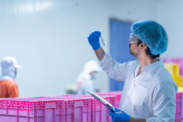 A laboratory worker in protective gear, including gloves and a hair cover, inspecting a sample in a...
