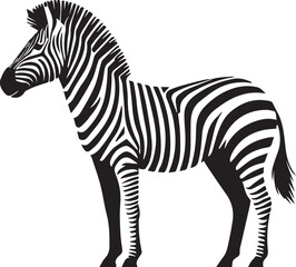 Zebra Vector Illustration black and white