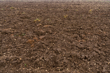 Empty plowed ground at the end of autumn season