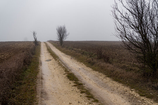 Landscape with ground road through fields during foggy day