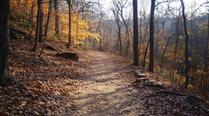 Fototapeta premium Hiking connects you with nature and clears your head.