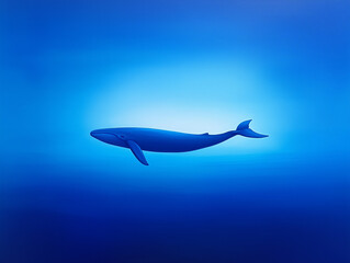 Obraz premium Blue Whale in the Ocean: Capturing the Majesty of Marine Giants