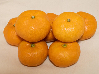 温州みかん。日本 静岡県産。
2024年12月。
Citrus unshiu. Grown in Shizuoka, Japan.
December 2024.