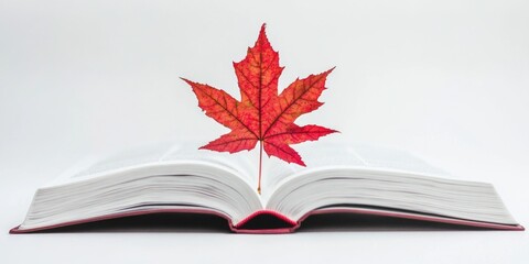 Open book with leaf