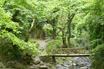 Crete, Greece, mountains, beach, water, sea, holidays, trip, holiday, sun, sky, forest, rocks, trekking, beach, sea, water, rest, vacation, holiday,