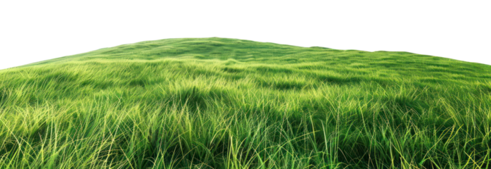 PNG Grassy Hill grass green hill.