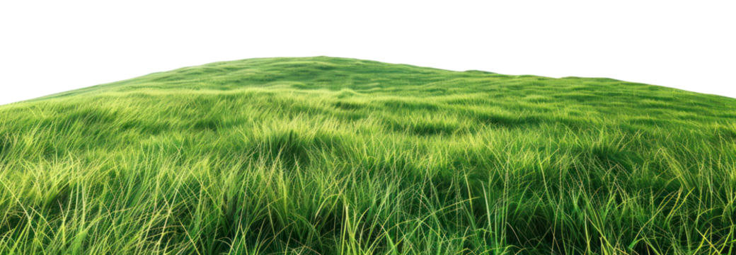 PNG Grassy Hill grass green hill.