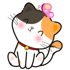 Cat butterfly