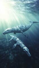 Fototapeta premium Two majestic marine creatures swim gracefully in a sunlit underwater scene.