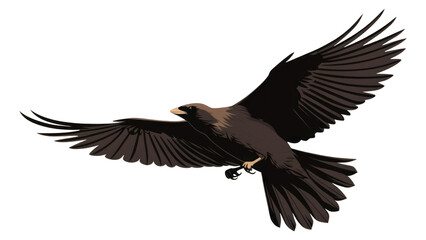 Obraz premium PNG Raven bird wildlife animal.