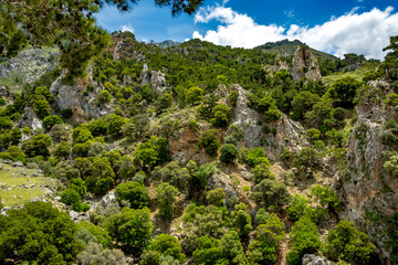 Crete, Greece, mountains, beach, water, sea, holidays, trip, holiday, sun, sky, forest, rocks, trekking, beach, sea, water, rest, vacation, holiday,