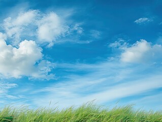 Obraz premium A bright blue sky with white clouds above a green grass field, . The background is clean and simple, creating an atmosphere of tranquility and beauty.