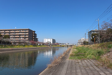 Fototapeta premium 坂川（千葉県松戸市）