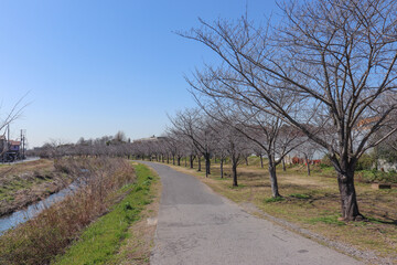 大堀川の側道（千葉県柏市）