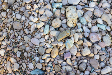 the structure of the rocky bottom in the shallow part of the river flowing in the European part of the planet