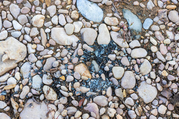 the structure of the rocky bottom in the shallow part of the river flowing in the European part of the planet