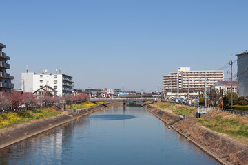 坂川（千葉県松戸市）