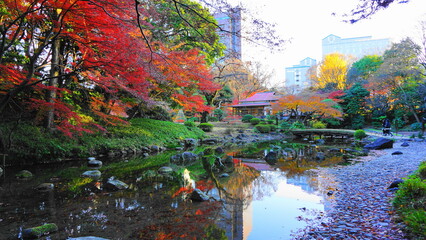 秋の小石川後楽園

