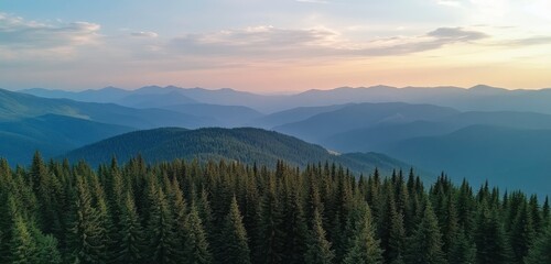 Obraz premium Landscape with forest and mountains on a blue sky background. Top view of green coniferous trees in a mountain range at sunrise. Green environment for a summer vacation or travel concept.