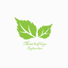 Green leaf with mint logo design © Chowa